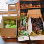 Ryokuyuu Shokudo & SPACE