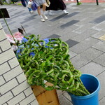 北京飯店 - 逢えばせつない別れがつらい