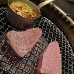 SATOブリアン - ブリメシのブリアン