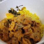 SPICY CURRY 魯珈 - ディルの薫り纏うヤリイカのカレー～ピンクペッパーを添えて～