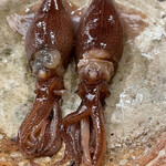 日本橋蛎殻町 すぎた - 