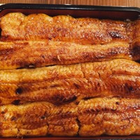 入谷鬼子母神門前のだや - 