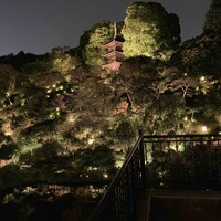 石焼料理 木春堂 - 