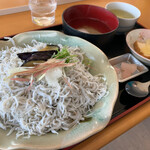 安芸しらす食堂 - しらす丼、見たら分かるんですけど…海が見える2階の部屋からの風景も高知を感じさせてくれる