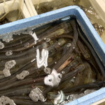 小松鮮魚店 - ワラスボ　エイリアンみたいな！