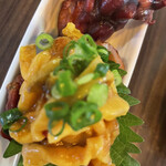 宮城直送 かきほや飛梅 - 