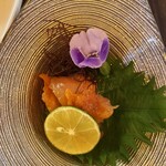 宮城直送 かきほや飛梅 - 