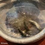 日本料理 TOBIUME - 天竜川の活けの稚鮎