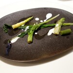 ヴォーロ・コズィ - 