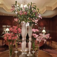 スプレンディード - 