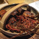 温石 - 今日も睨んでくる。