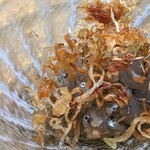 温石 - 生シラス　玉葱和え　フライドオニオン添え。目力強すぎ! シラスの頭より小さい、玉葱のみじん切りが見事。フライドオニオンも良く合う。珍しくしっかりした味わいの新作。