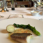 マダム・トキ - 