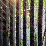 お料理ひろせ - 住宅街の細い道に一軒だけあるお店です。