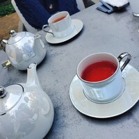 GENTLE Dining - 