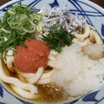 Marugame Seimen - 明太しらすおろしぶっかけうどん(冷)