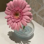 マスドラヴァンド - 