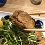 HAKKO食堂 - 