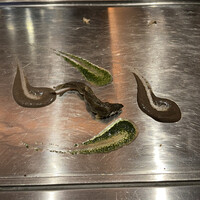 くずし鉄板 あばぐら 神田店 - 