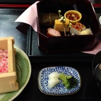 霞月楼 - 