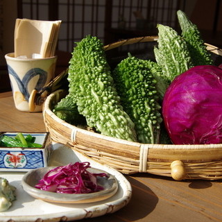 旬家ばんちゃん - 料理写真:白保産ゴーヤと紫キャベツ。今週からの前菜に登場です(^^)♪