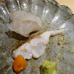 馳走 啐啄一十  - ・6日寝かせの河豚・ノドグロ