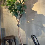 ニカイノフランク - 