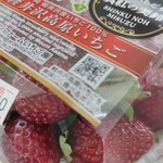 카루이자와 가덴팜 이치고엔 - 