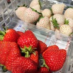 카루이자와 가덴팜 이치고엔 - 