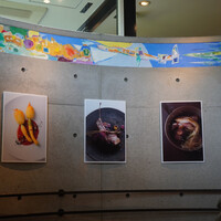 オトワ レストラン - 