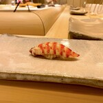Sushi Ishiyama - 車海老