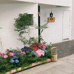 四季の味 ぎんなん - 