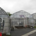 こもろ布引いちご園 - 