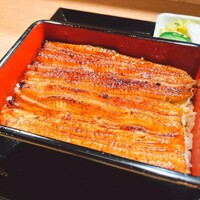 うなぎ 目白ぞろ芽 - 