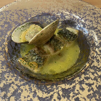 GLICINE di ACQUA PAZZA - 