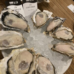 8TH SEA OYSTER Bar - 