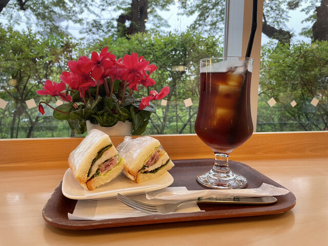 cafe エスポアール - 南気仙沼（カフェ）の写真