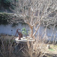 幻董庵 - 