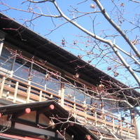 幻董庵 - 