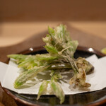 うを徳 - 2022.5 南会津コシアブラ天ぷら