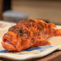 うを徳 - 2022.5 能登オニカサゴ