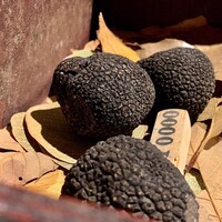 マルゴット エ バッチャーレ - 