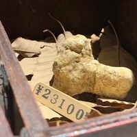 マルゴット エ バッチャーレ - 