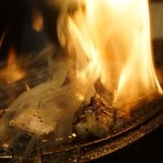 焼肉屋かねちゃん - 脂のりすぎ