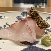 鎌倉 北じま - 三浦のマハタ
                      マハタは約4kgとハタの中ではまだ小ぶりですが、脂が乗りクセのない味は上品そのもの。
                      歯触りがなんとも良いのです。
                      皮は油でカリッと、これがお酒を呼ぶのです♪