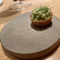 マンサルヴァ - 