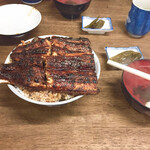 田代 - 並  ライス大盛り