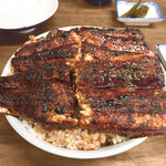 田代 - 並  ライス大盛り