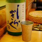 鮨 さかい - 日本酒「しらぎく」