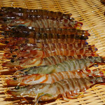 鮨 さかい - 沖縄の車海老